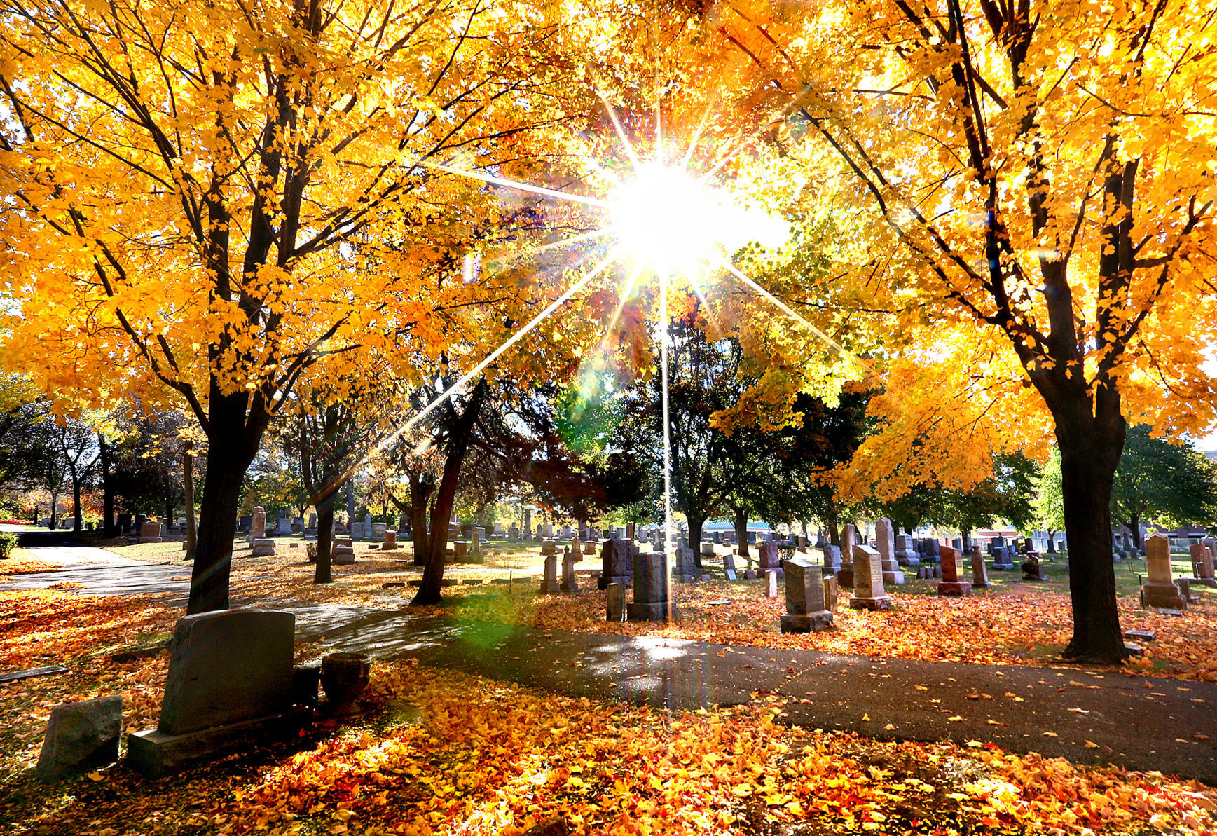 Fall Color